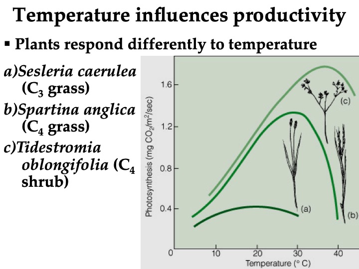 Topic 05 Primary Productivity Biology Diagrams